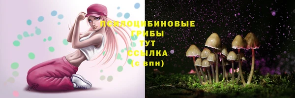 кокс Богородицк