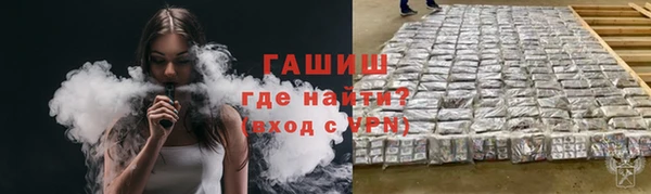 МДПВ Богородск