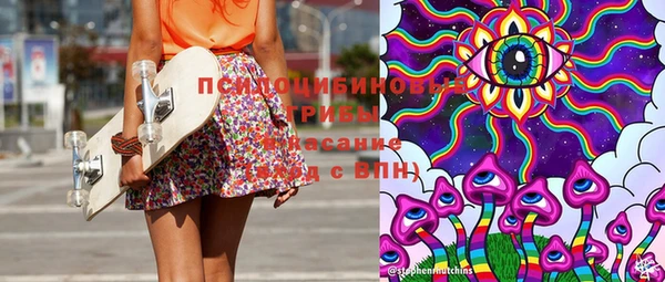 МДПВ Богородск