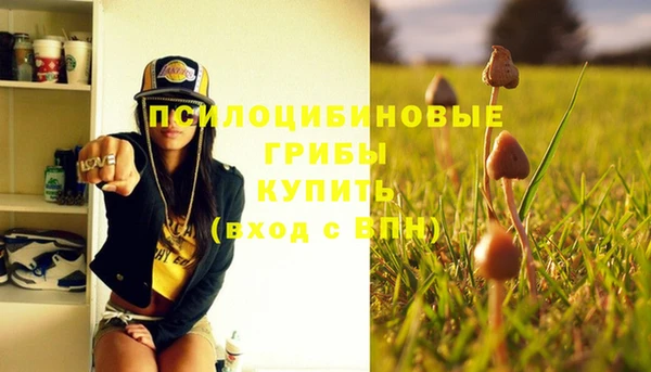 кокс Богородицк