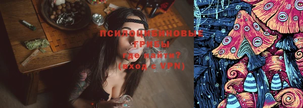 кокс Богородицк