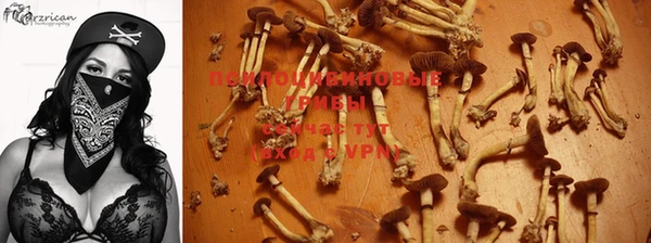 герыч Богданович