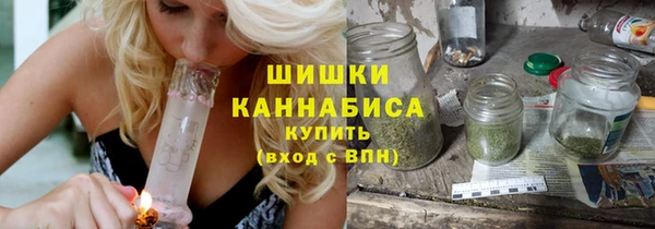 МДПВ Богородск